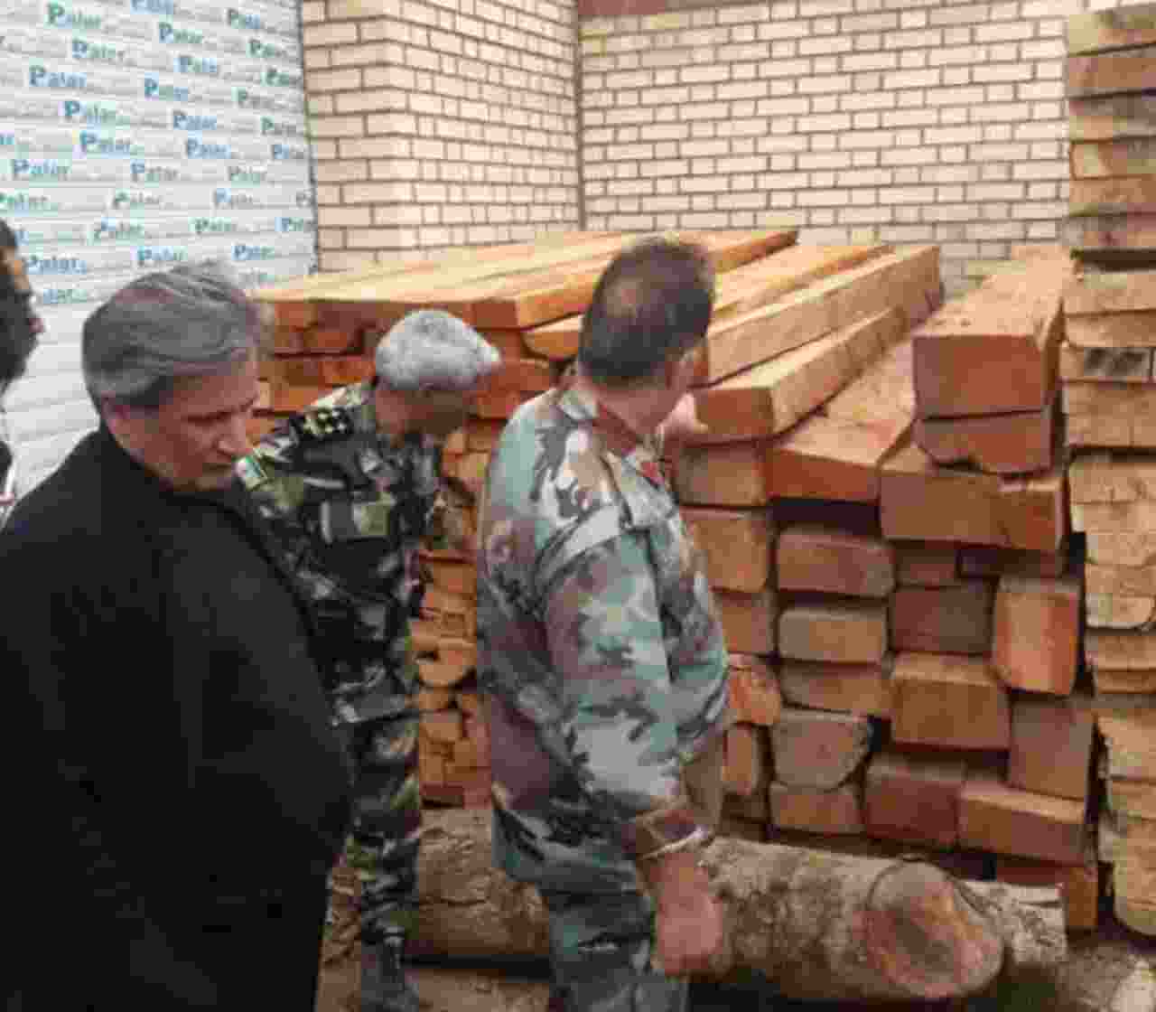 کشف بزرگ‌ترین مجموعه قاچاق جنگلی در خلخال